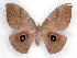  ( - BC-JJ2826-F12)  @14 [ ] Copyright (2010) Unspecified Research Collection of Jo Joannou