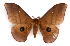  ( - BC-JJ2826-G03)  @11 [ ] Copyright (2010) Unspecified Research Collection of Jo Joannou