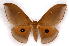  ( - BC-JJ2826-G07)  @11 [ ] Copyright (2010) Unspecified Research Collection of Jo Joannou