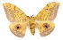  ( - BC-JJ2827-A06)  @15 [ ] Copyright (2010) Unspecified Research Collection of Jo Joannou