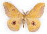  ( - BC-JJ2827-A08)  @15 [ ] Copyright (2010) Unspecified Research Collection of Jo Joannou