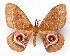  ( - BC-JJ2827-C03)  @15 [ ] Copyright (2010) Unspecified Research Collection of Jo Joannou