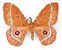  ( - BC-JJ2827-C04)  @14 [ ] Copyright (2010) Unspecified Research Collection of Jo Joannou