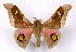  ( - BC-JJ2827-D10)  @11 [ ] Copyright (2010) Unspecified Research Collection of Jo Joannou