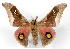  ( - BC-JJ2827-D12)  @11 [ ] Copyright (2010) Unspecified Research Collection of Jo Joannou