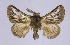  ( - BC-JJ2828_A09)  @11 [ ] Copyright (2010) Unspecified Research Collection of Jo Joannou