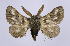  ( - BC-JJ2828_A10)  @11 [ ] Copyright (2010) Unspecified Research Collection of Jo Joannou
