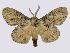  ( - BC-JJ2828_C03)  @11 [ ] Copyright (2010) Unspecified Research Collection of Jo Joannou