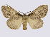  ( - BC-JJ2828_C04)  @11 [ ] Copyright (2010) Unspecified Research Collection of Jo Joannou