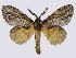  ( - BC-JJ2828_C05)  @11 [ ] Copyright (2010) Unspecified Research Collection of Jo Joannou