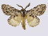  ( - BC-JJ2828_C06)  @11 [ ] Copyright (2010) Unspecified Research Collection of Jo Joannou