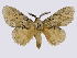  ( - BC-JJ2828_C07)  @15 [ ] Copyright (2010) Unspecified Research Collection of Jo Joannou