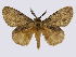  ( - BC-JJ2828_C09)  @15 [ ] Copyright (2010) Unspecified Research Collection of Jo Joannou