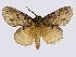  ( - BC-JJ2828_C12)  @14 [ ] Copyright (2010) Unspecified Research Collection of Jo Joannou