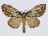 ( - BC-JJ2828_D01)  @15 [ ] Copyright (2010) Unspecified Research Collection of Jo Joannou
