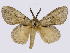  ( - BC-JJ2828_D02)  @11 [ ] Copyright (2010) Unspecified Research Collection of Jo Joannou
