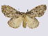  ( - BC-JJ2828_D03)  @11 [ ] Copyright (2010) Unspecified Research Collection of Jo Joannou