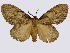  ( - BC-JJ2828_D10)  @13 [ ] Copyright (2010) Unspecified Research Collection of Jo Joannou