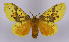  ( - BC-JJ2828_H03)  @11 [ ] Copyright (2010) Unspecified Research Collection of Jo Joannou