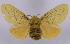  ( - BC-JJ2828_H07)  @11 [ ] Copyright (2010) Unspecified Research Collection of Jo Joannou