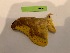  ( - LM144)  @11 [ ] By-SA Creative Common (2022) David Lane Research collection of David Lane