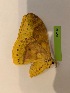  ( - LM148)  @11 [ ] By-SA Creative Common (2022) David Lane Research collection of David Lane