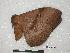  ( - BC-Roug0288)  @12 [ ] Copyright (2010) Unspecified Research Collection of Rodolphe Rougerie