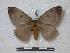  ( - BC-Roug0575)  @14 [ ] Copyright (2010) Unspecified Research Collection of Rodolphe Rougerie