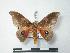  ( - BC-Roug0702)  @13 [ ] Copyright (2010) Unspecified Research Collection of Rodolphe Rougerie