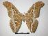  ( - BC-Roug1034)  @14 [ ] Copyright (2010) Unspecified Research Collection of Rodolphe Rougerie