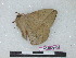  ( - BC-Roug1199)  @12 [ ] Copyright (2010) Unspecified Research Collection of Rodolphe Rougerie