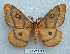  ( - BC-MN0002)  @14 [ ] Copyright (2010) Unspecified Research Collection of Mike Newport