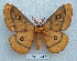  ( - BC-MN0003)  @15 [ ] Copyright (2010) Unspecified Research Collection of Mike Newport