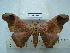  ( - BC-EST0665)  @14 [ ] Copyright (2010) Unspecified Research Collection of Yves Estradel
