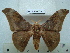  ( - BC-EST0678)  @14 [ ] Copyright (2010) Unspecified Research Collection of Yves Estradel