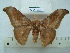  ( - BC-EST0679)  @14 [ ] Copyright (2010) Unspecified Research Collection of Yves Estradel