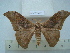  ( - BC-EST0685)  @14 [ ] Copyright (2010) Unspecified Research Collection of Yves Estradel