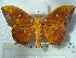  ( - BC-EST0715)  @14 [ ] Copyright (2010) Unspecified Research Collection of Yves Estradel