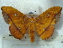  ( - BC-EST0717)  @14 [ ] Copyright (2010) Unspecified Research Collection of Yves Estradel