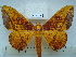  ( - BC-EST0721)  @14 [ ] Copyright (2010) Unspecified Research Collection of Yves Estradel