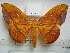  ( - BC-EST0735)  @14 [ ] Copyright (2010) Unspecified Research Collection of Yves Estradel