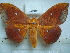  ( - BC-EST0737)  @14 [ ] Copyright (2010) Unspecified Research Collection of Yves Estradel