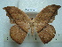  ( - BC-EST0746)  @13 [ ] Copyright (2010) Unspecified Research Collection of Yves Estradel