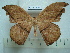  ( - BC-EST0747)  @13 [ ] Copyright (2010) Unspecified Research Collection of Yves Estradel