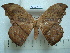  ( - BC-EST0748)  @13 [ ] Copyright (2010) Unspecified Research Collection of Yves Estradel