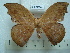  ( - BC-EST0750)  @13 [ ] Copyright (2010) Unspecified Research Collection of Yves Estradel