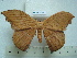 ( - BC-EST0752)  @13 [ ] Copyright (2010) Unspecified Research Collection of Yves Estradel