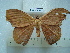  ( - BC-EST0753)  @13 [ ] Copyright (2010) Unspecified Research Collection of Yves Estradel