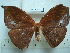  ( - BC-EST0754)  @13 [ ] Copyright (2010) Unspecified Research Collection of Yves Estradel
