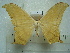 ( - BC-EST0755)  @14 [ ] Copyright (2010) Unspecified Research Collection of Yves Estradel